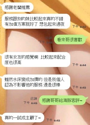 海豚實照_55
